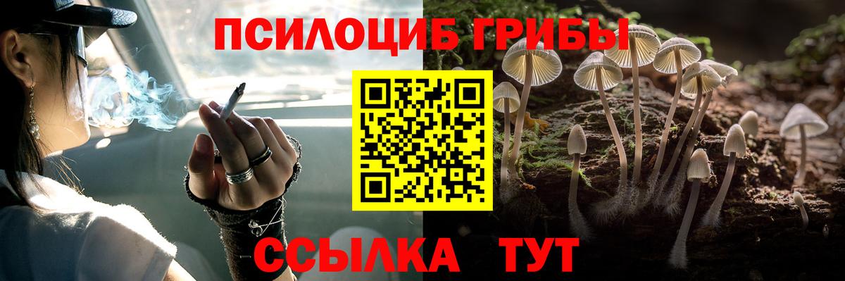 Галлюциногенные грибы GOLDEN TEACHER  Галлюциногенные грибы Psilocybe  Славгород  Вход с VPN 