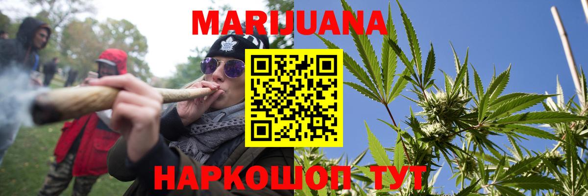 Конопля план Славгород